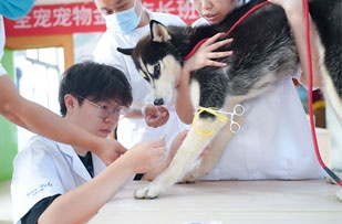 医疗实训室
