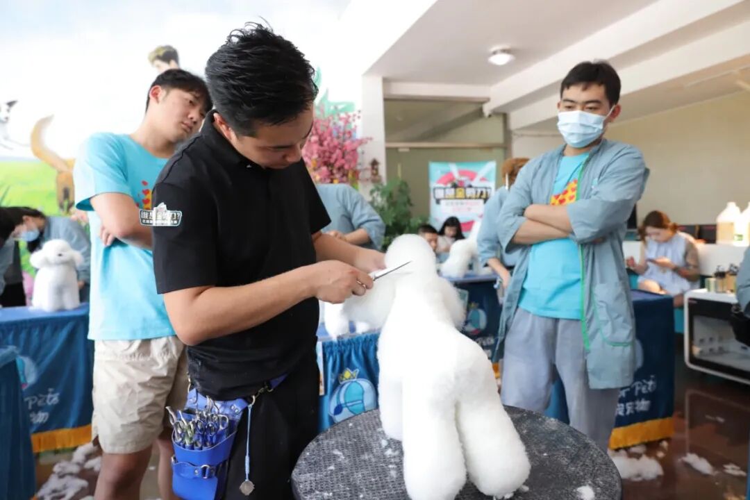 呈伴金剪刀大赛：获奖学员后来都去哪了