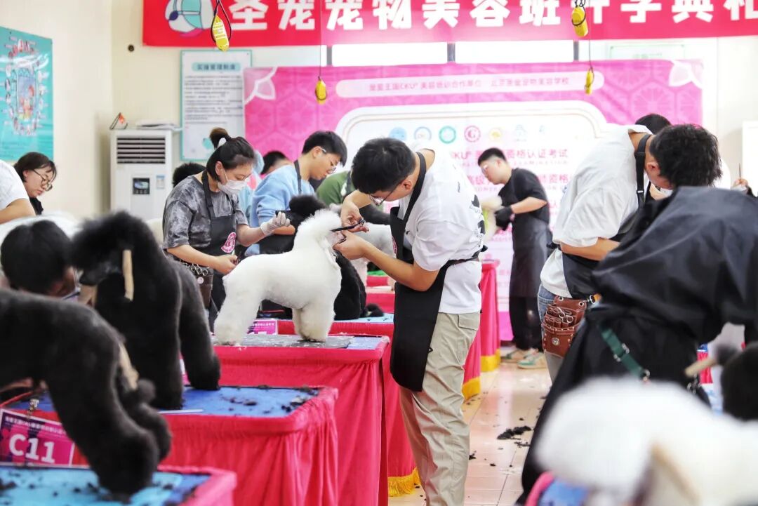 呈伴第二季名师大讲堂毕业学子