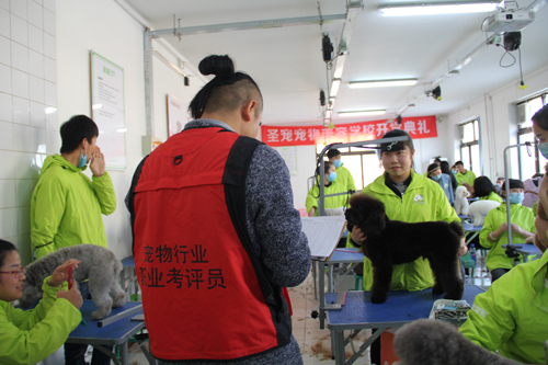 呈伴培训第74期美容班学员毕业考试