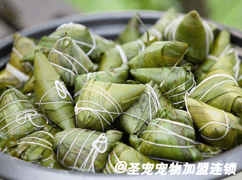 端午佳节,狗狗也能吃美味的粽子吗?