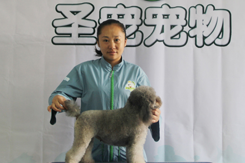 相关新闻