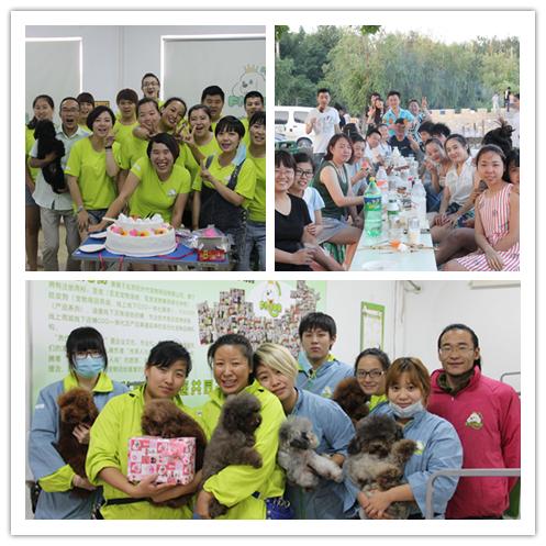 学宠物美容到呈伴培训学校,究竟可以收获什么?