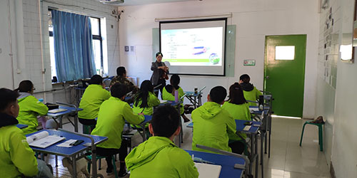 为什么学习宠物美容一定要去学校?