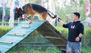 教学犬舍