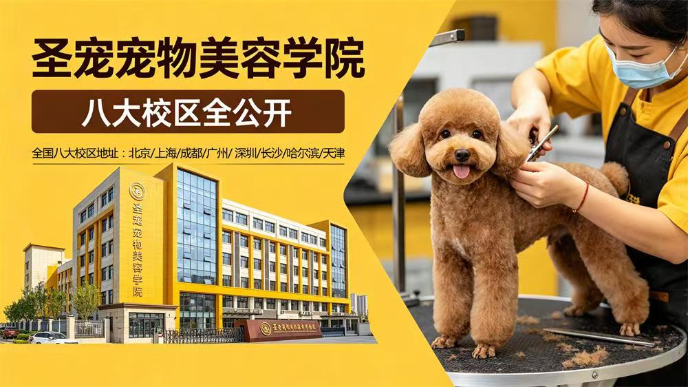呈伴宠物八大校区全公开丨「美食」+「美景」的治愈系校园
