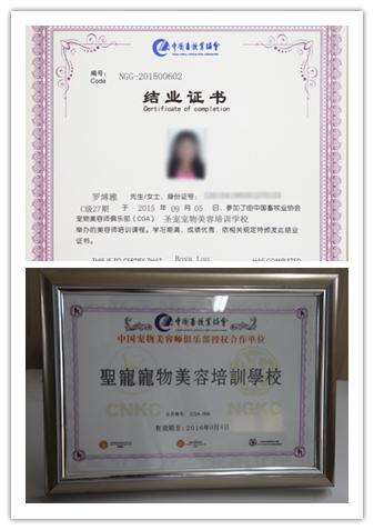 学宠物美容到呈伴培训学校,究竟可以收获什么?
