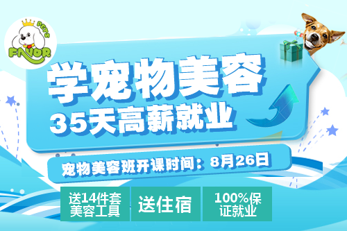 8月26日美容班报名中，提前预订优惠更多