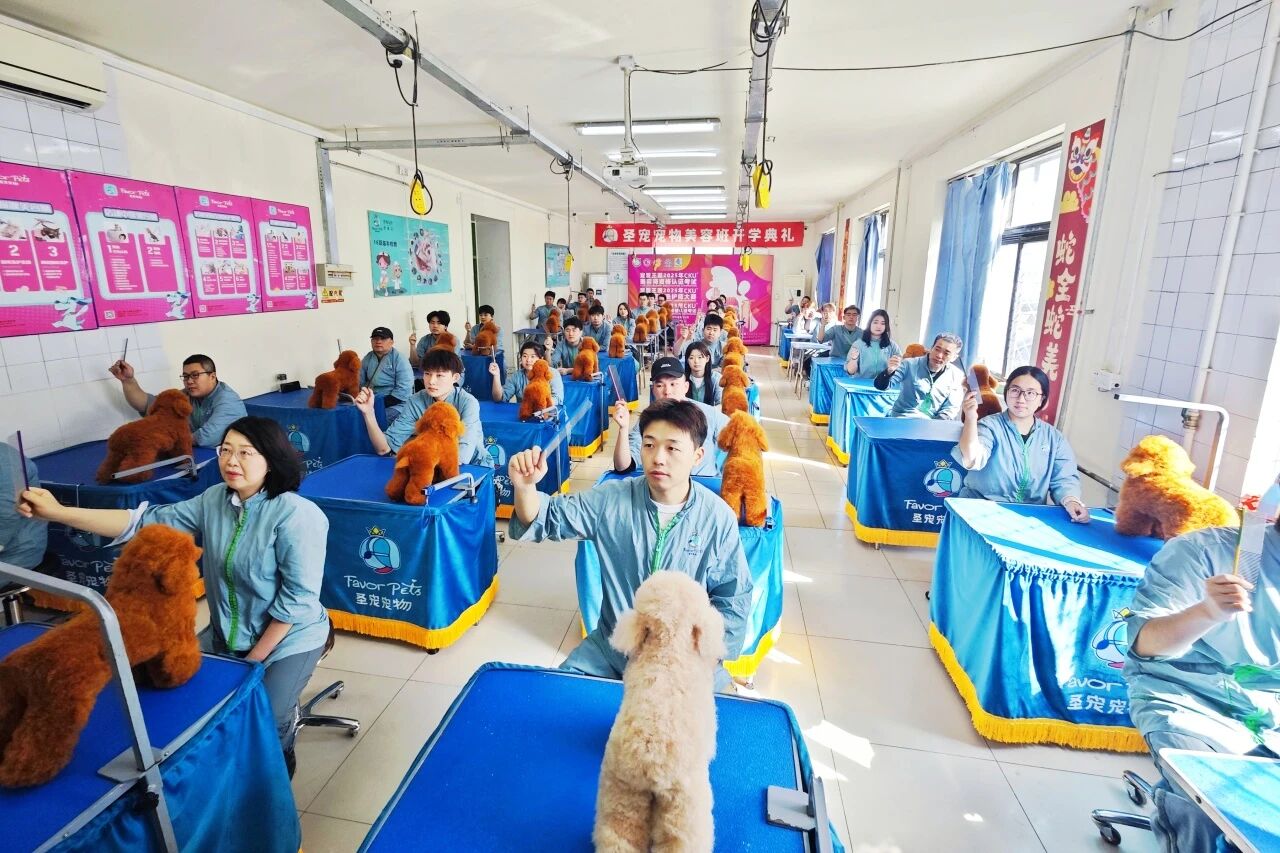 第三届名师大讲堂