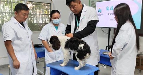 教学犬舍